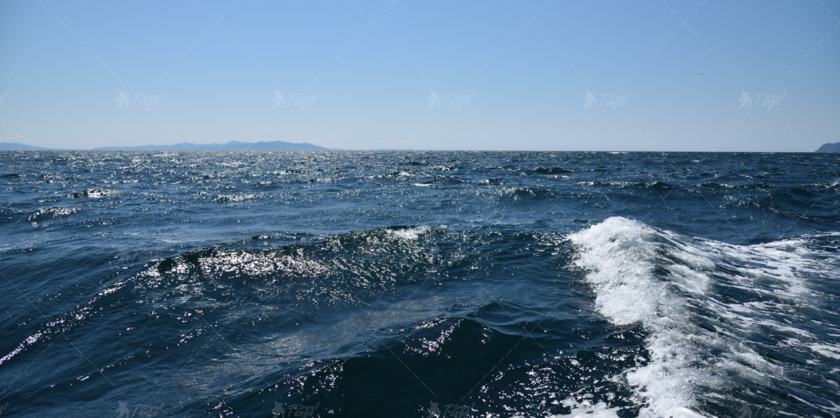 Прогулянка на кораблику Тірренським морем Зображення-2